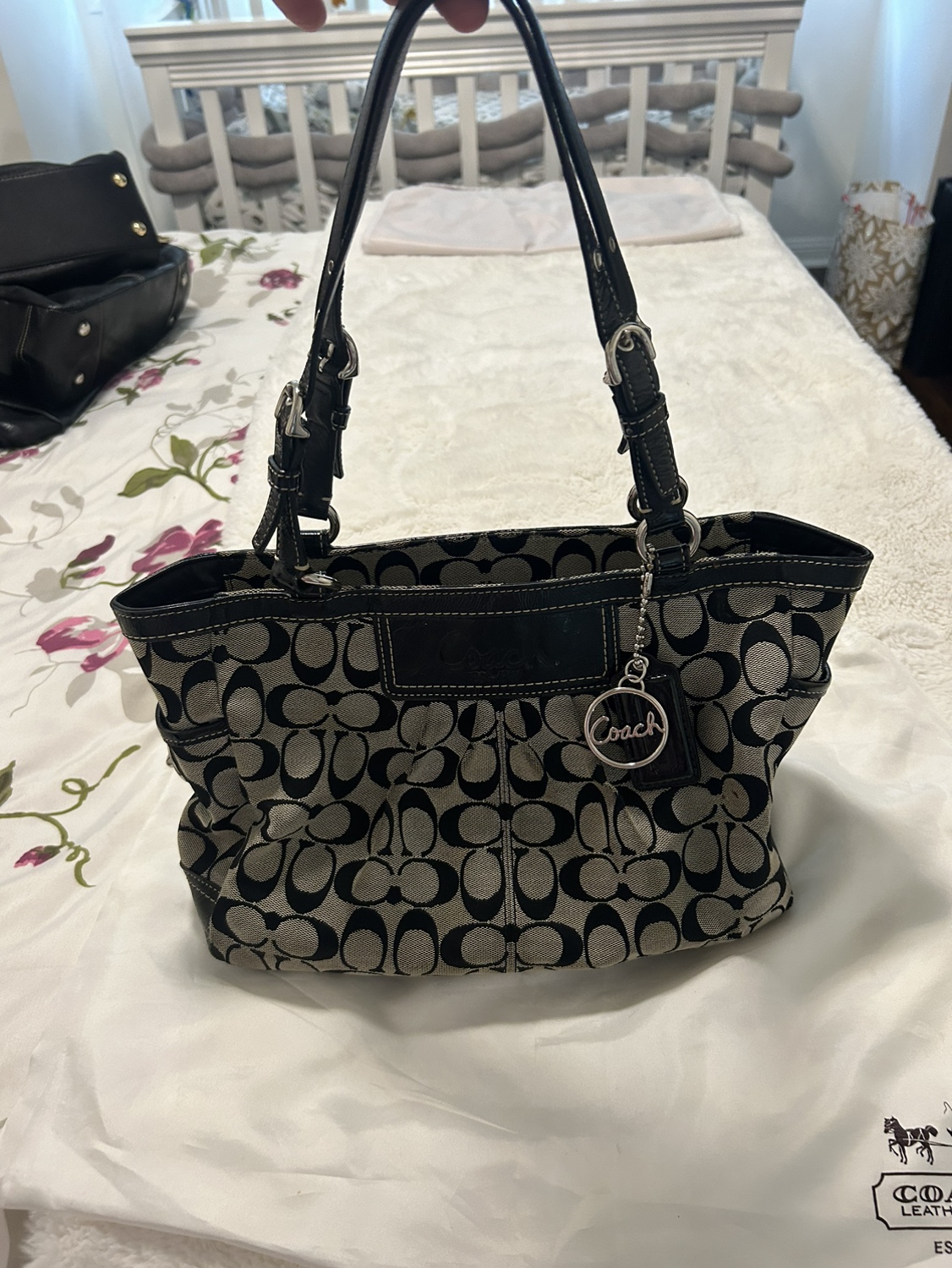 Coach Signature Tote Bag