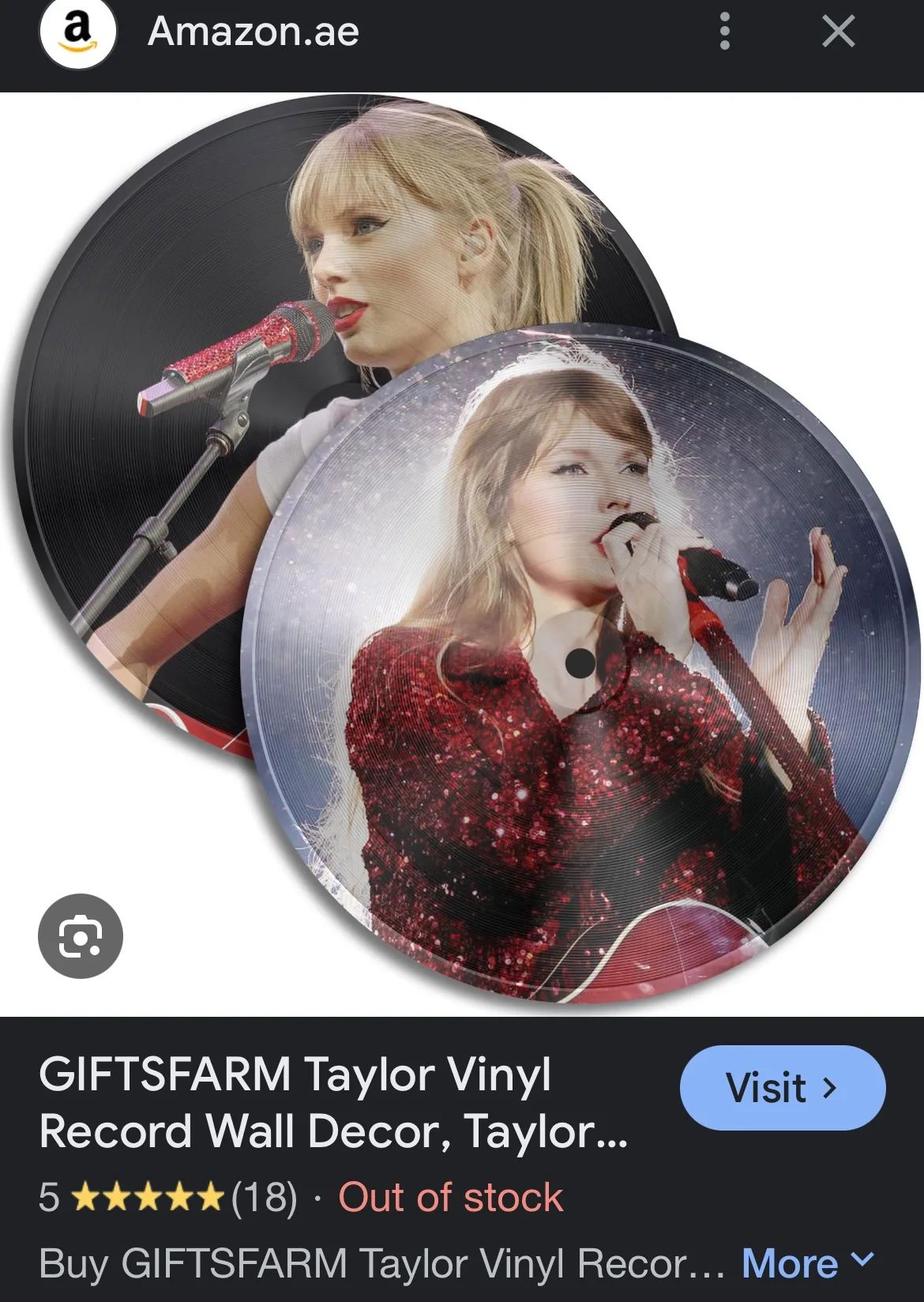 Taylor Swift Record wall decor (set of 2) image indicator(9)