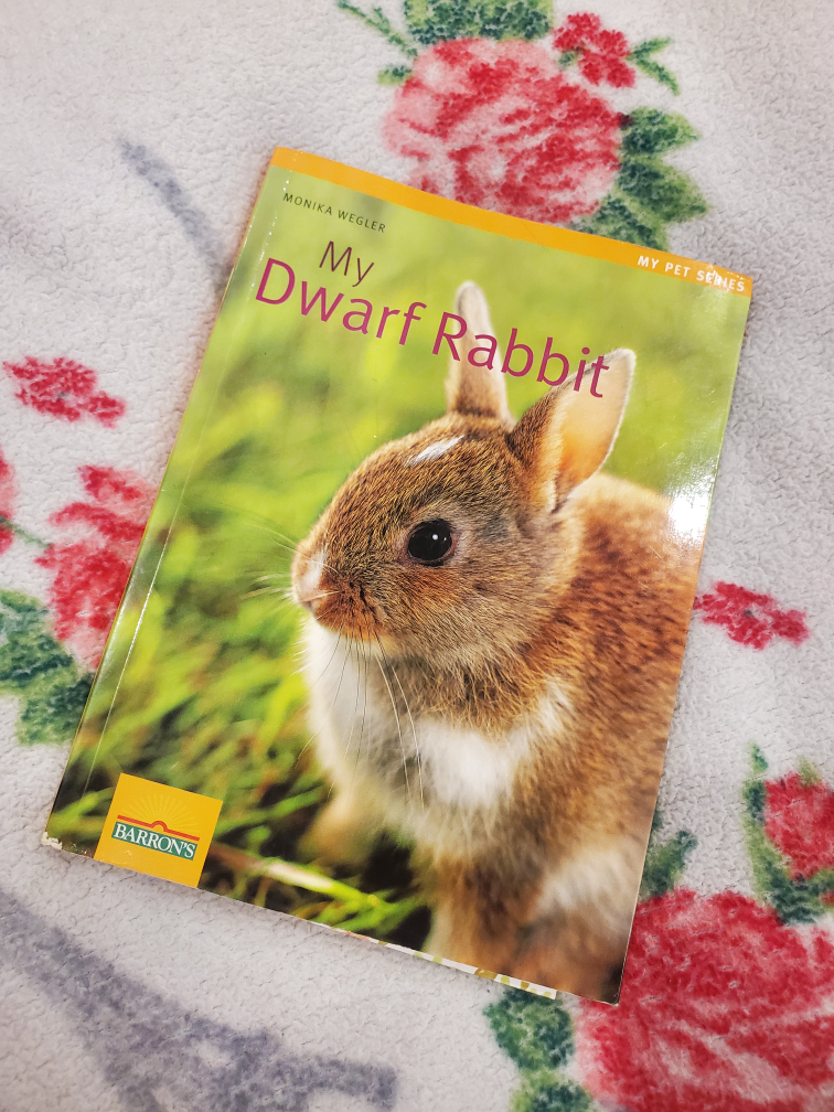My Dwarf Rabbit by Monika Weigler