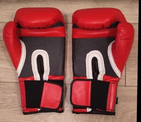 Everlast Boxing Gloves! thumbnail
