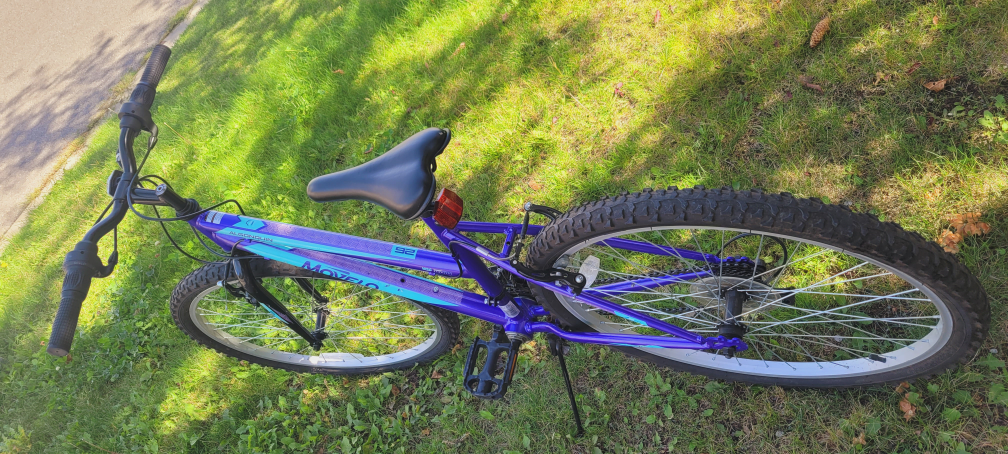 Movelo Bike - photo 3