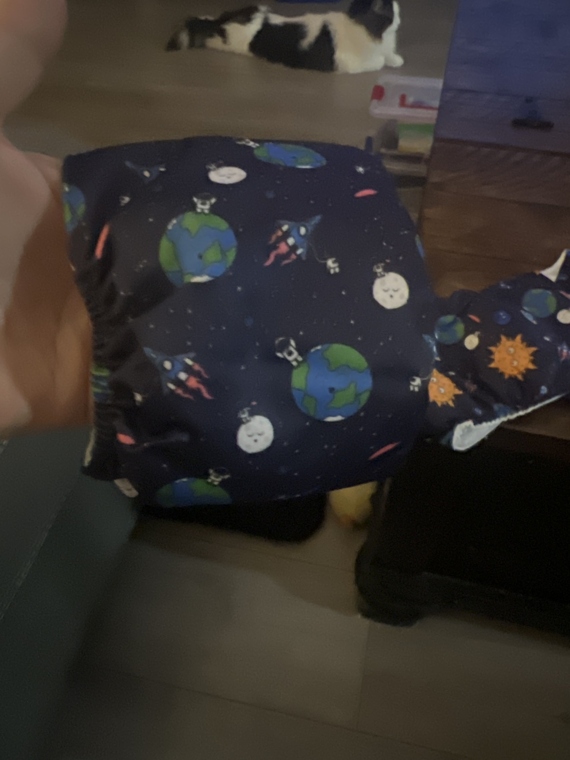 3x Reusable Cloth Diapers for a male dog