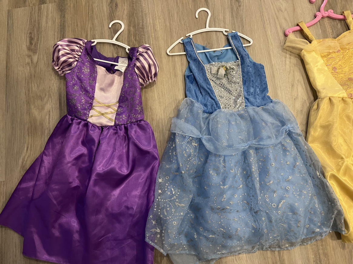 Disney Princess Dress-Up Wardrobe - photo 2