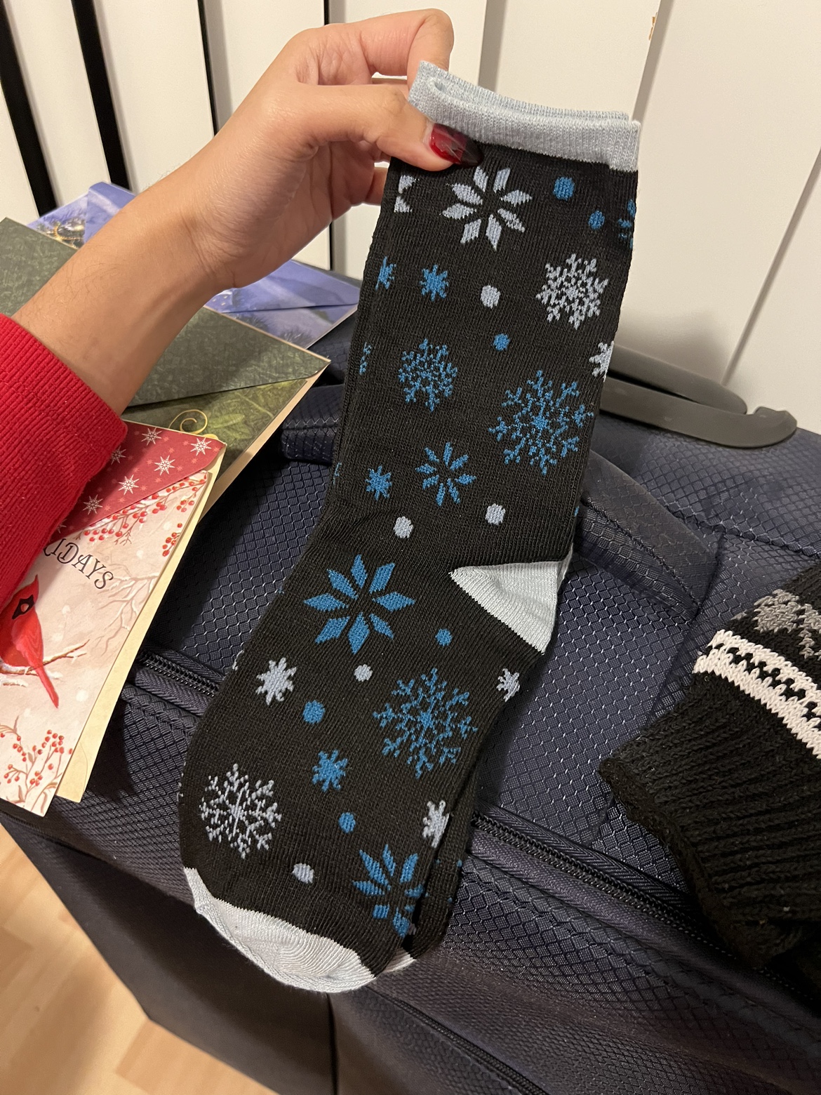 Luggage Cards and Socks - photo 5