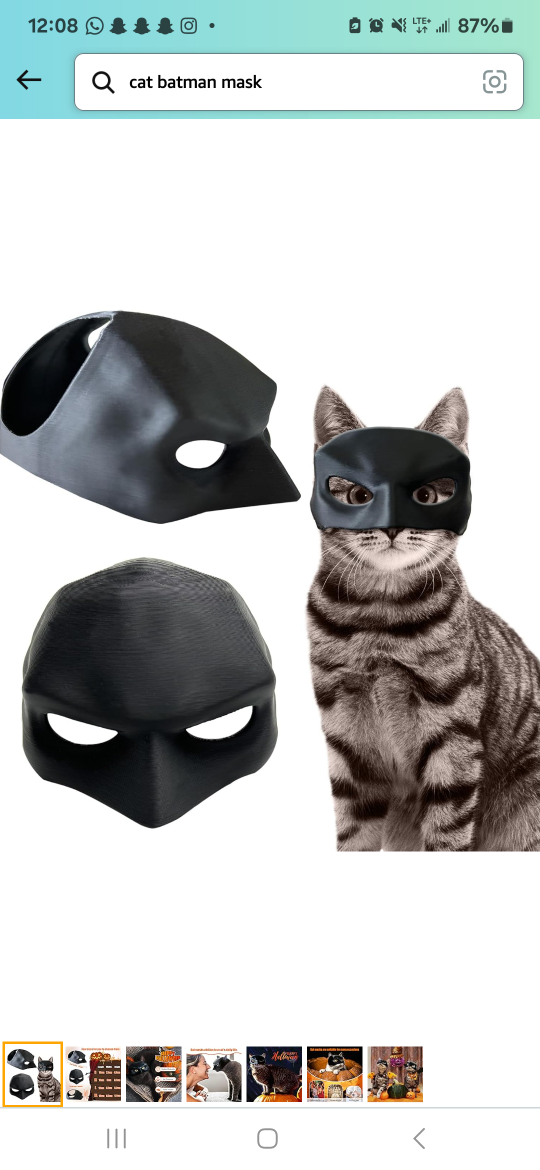 Cat Batman Mask