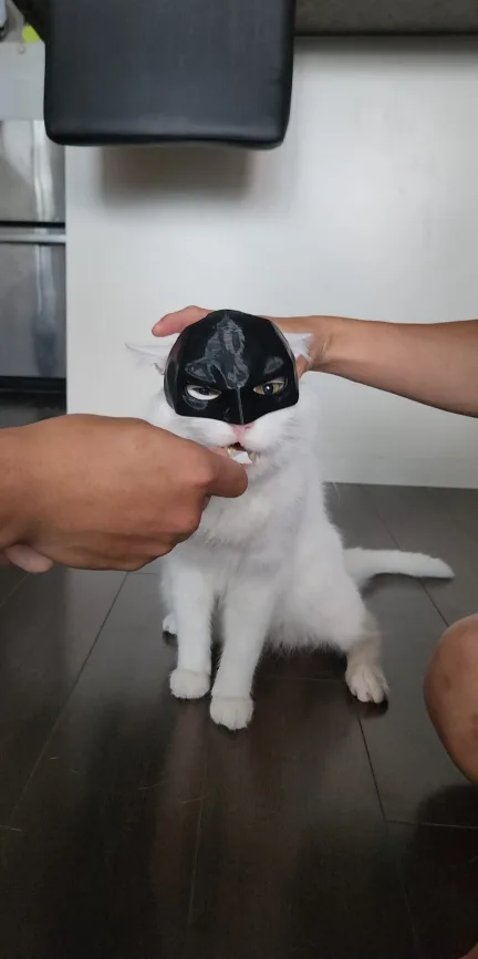 Cat Batman Mask image indicator(2)