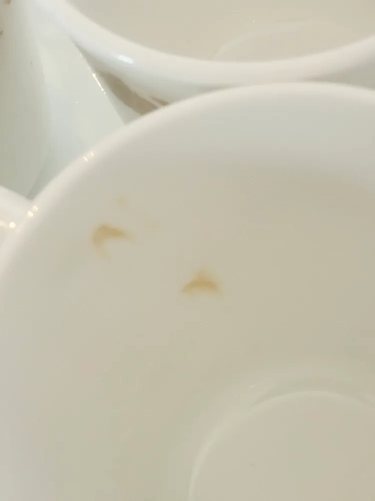 Corelle "Butterfly Gold" 24 Piece Set image indicator(2)