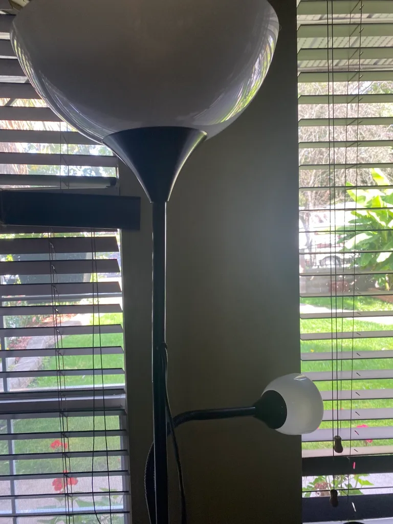 Black Floor Lamp with Two Lights image indicator(3)