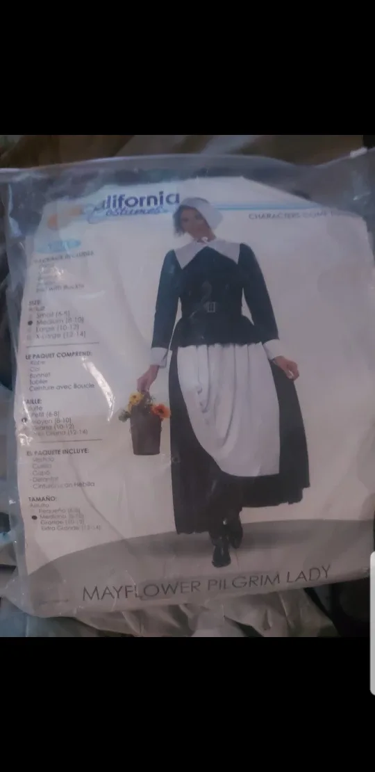 Adult Mayflower Pilgrim Lady costume image indicator(2)
