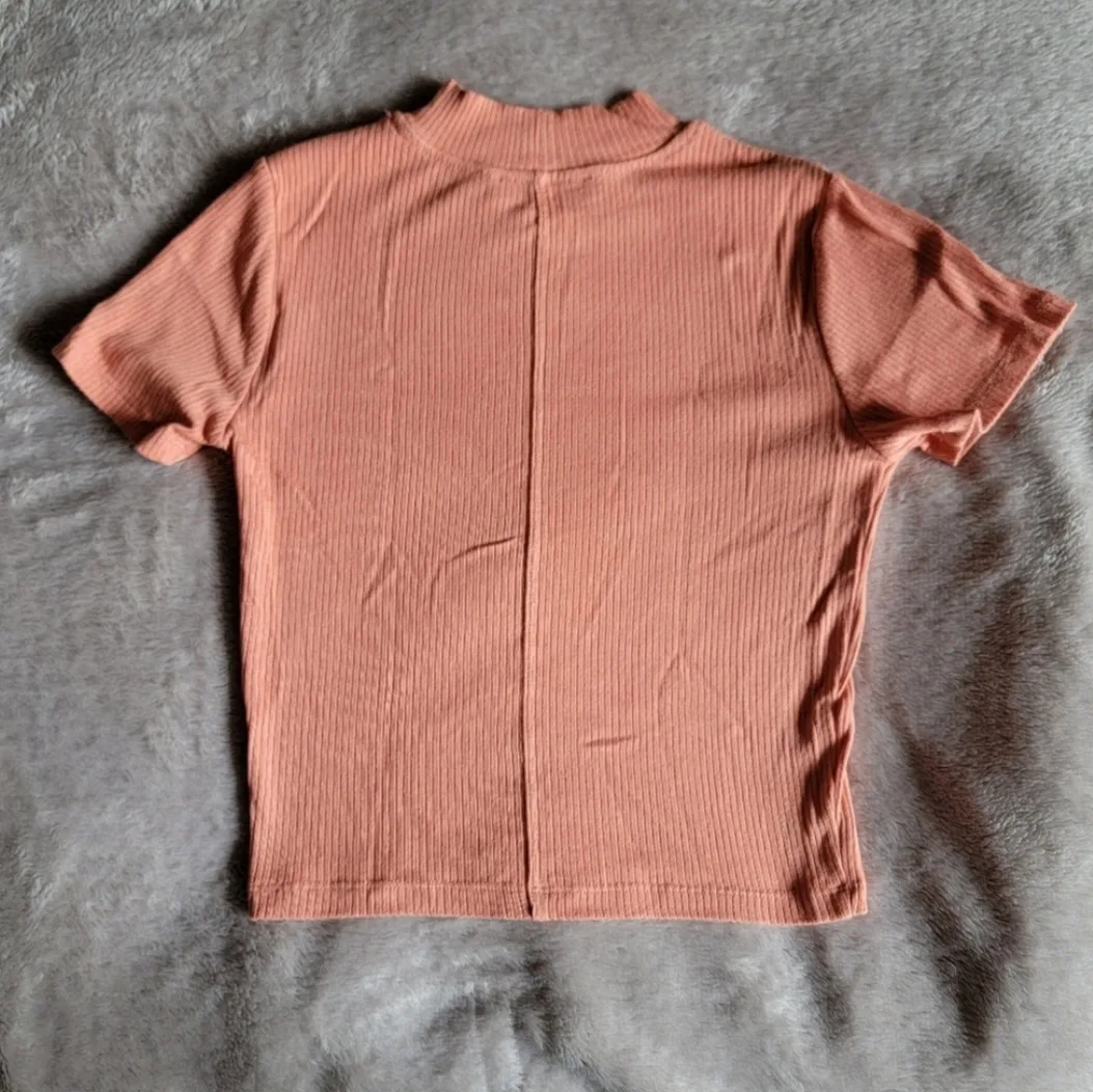 Aritzia Wilfred Free coral ribbed tshirt image indicator(4)