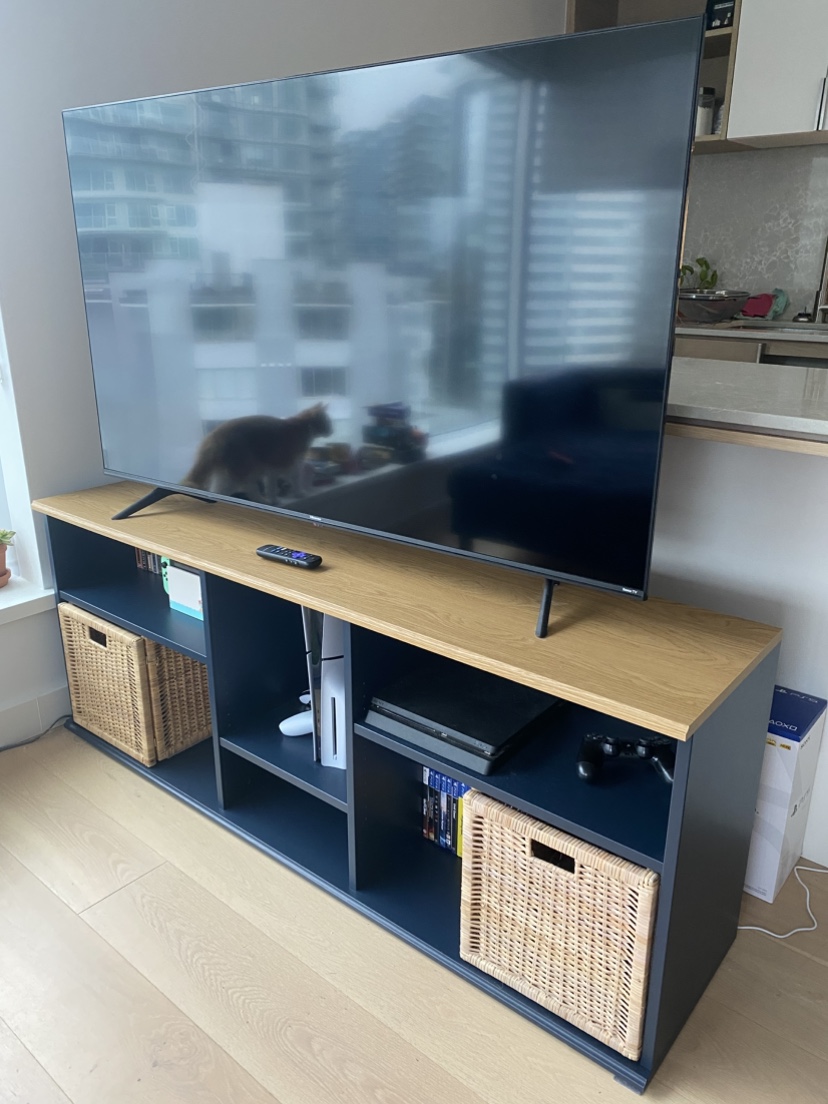 TV Stand with Storage