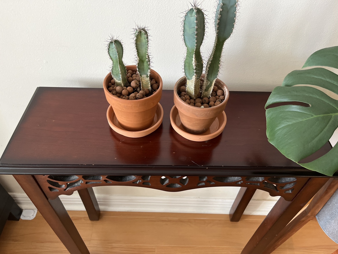 Bombay Console Table - photo 4