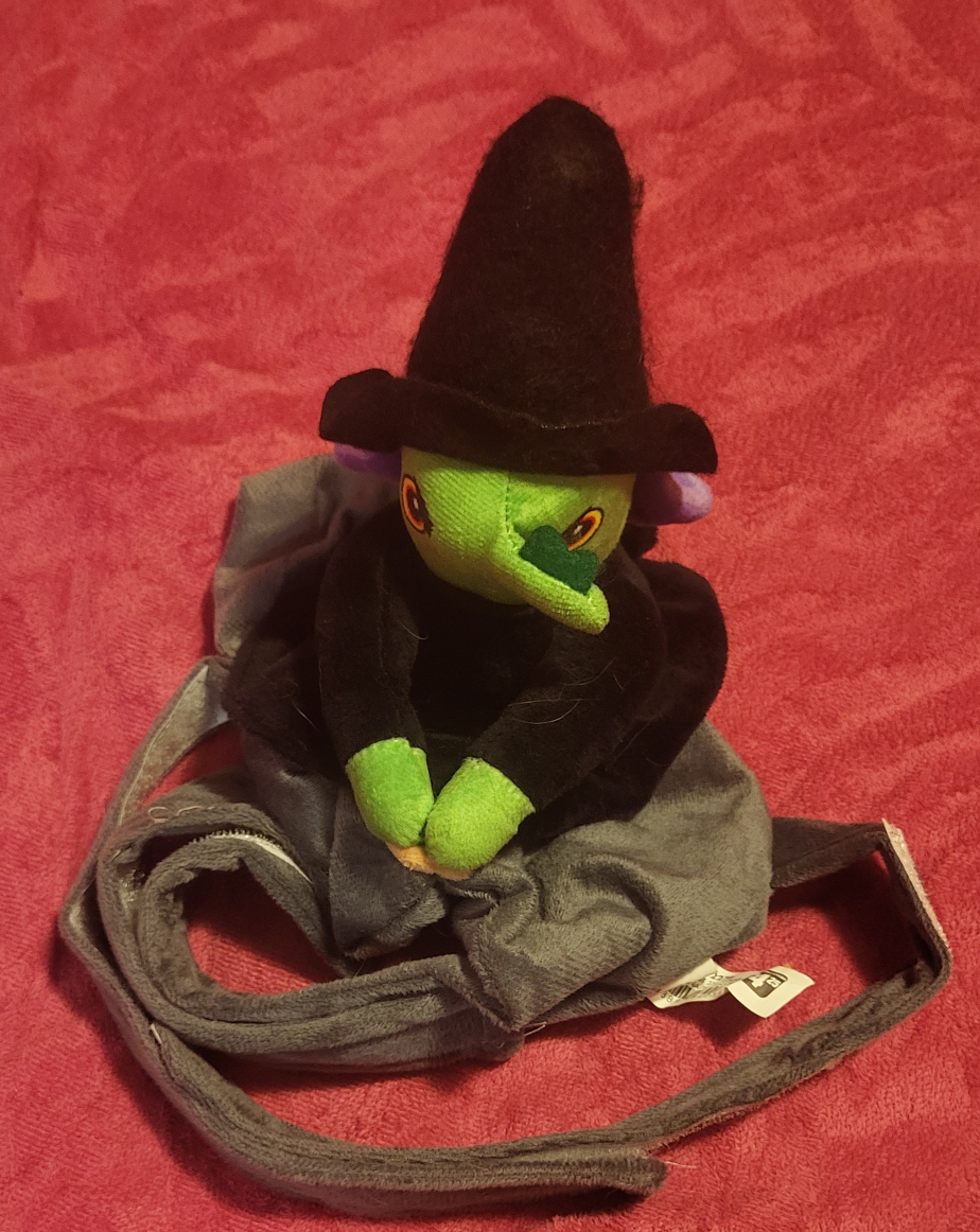 Witch  to ride on a dog or cat..costume