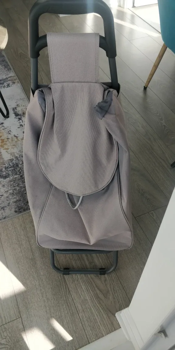 Grey Shopping Cart thumbnail