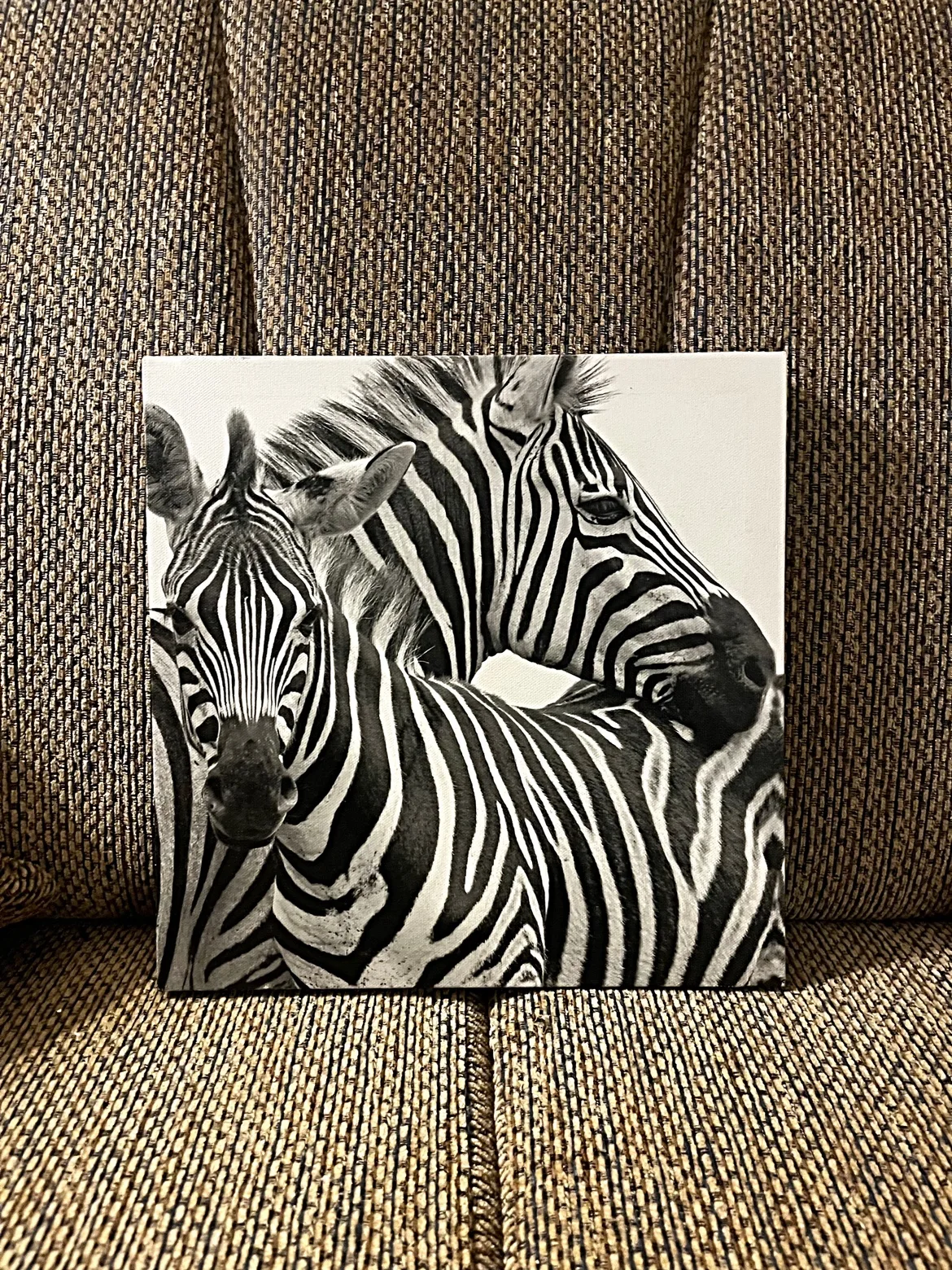 Zebra Canvas Wall Art image indicator(9)