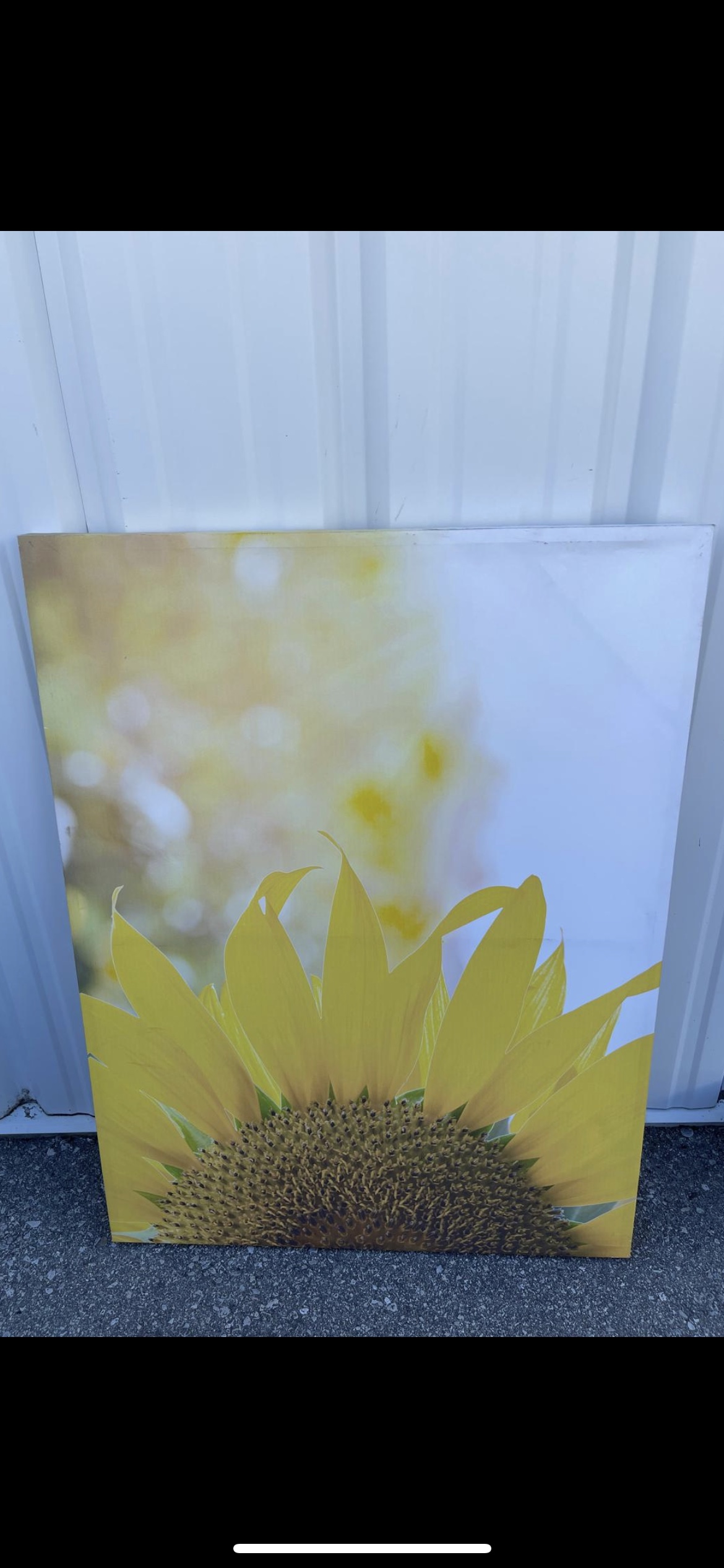 Sunflower Canvas Wall Art