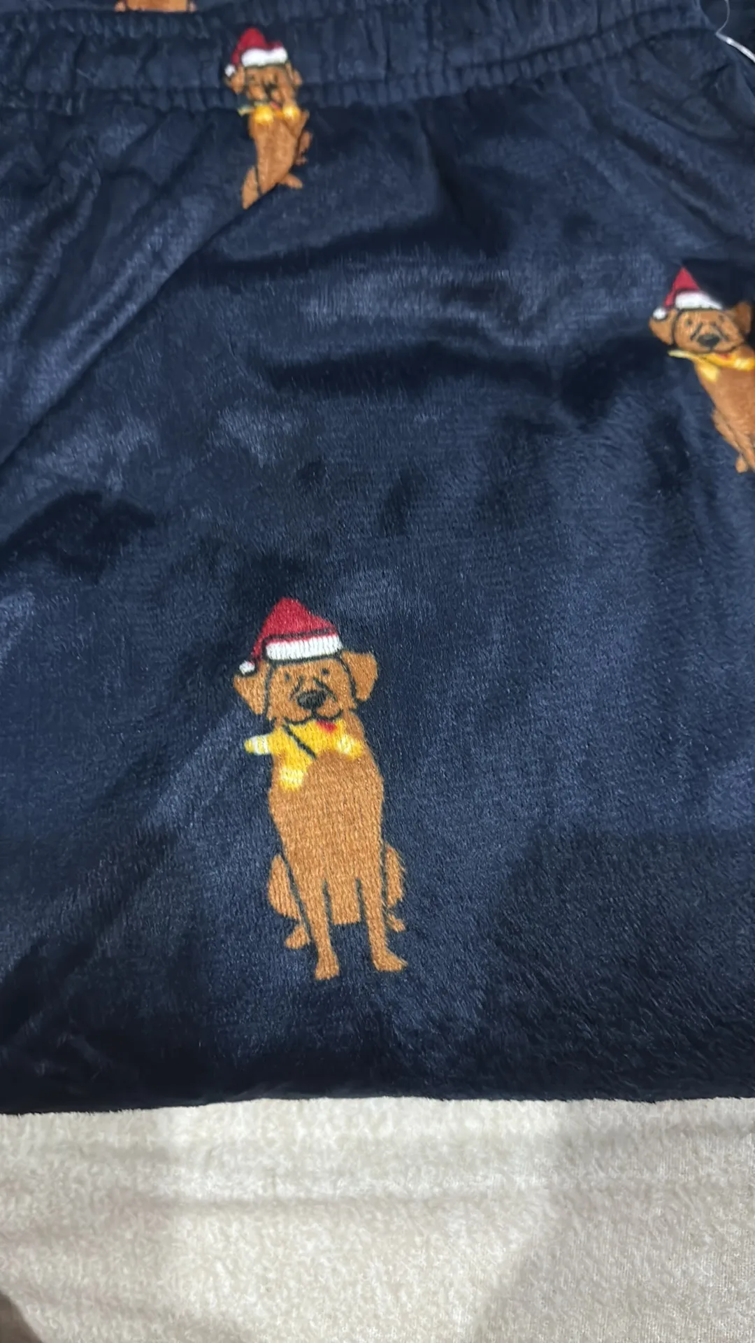 Mens Christmas Pajama Pants medium image indicator(2)