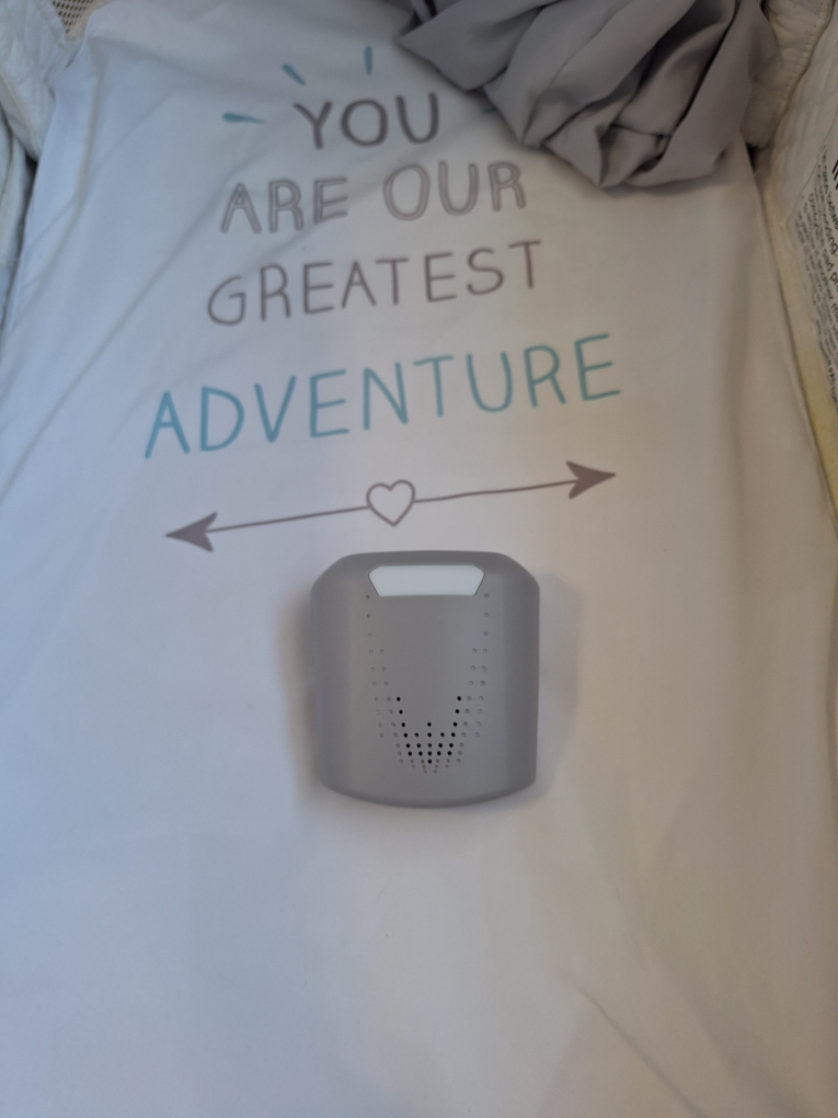 Blissbaby bassinet - photo 4