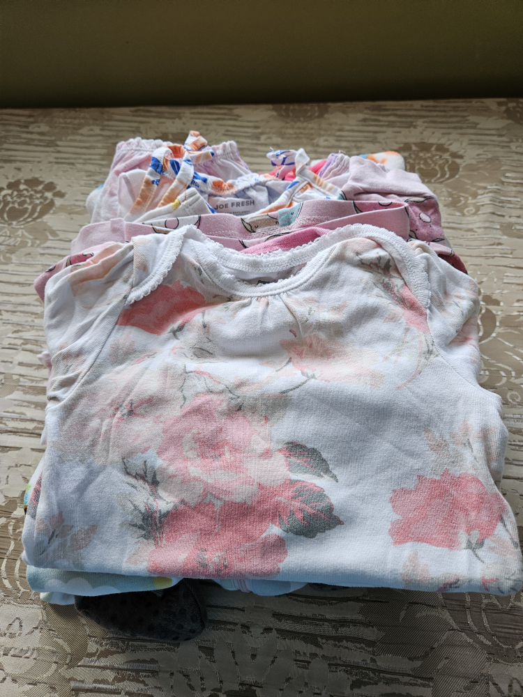 bundle pre-owned baby girl clothes size 12-18 months