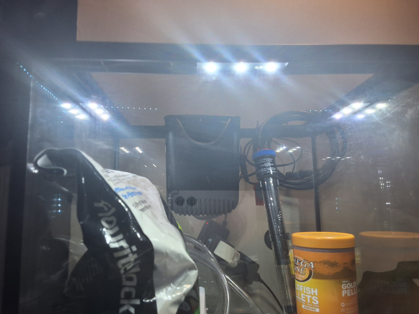 10 Gallon Aquarium Set Up - photo 5
