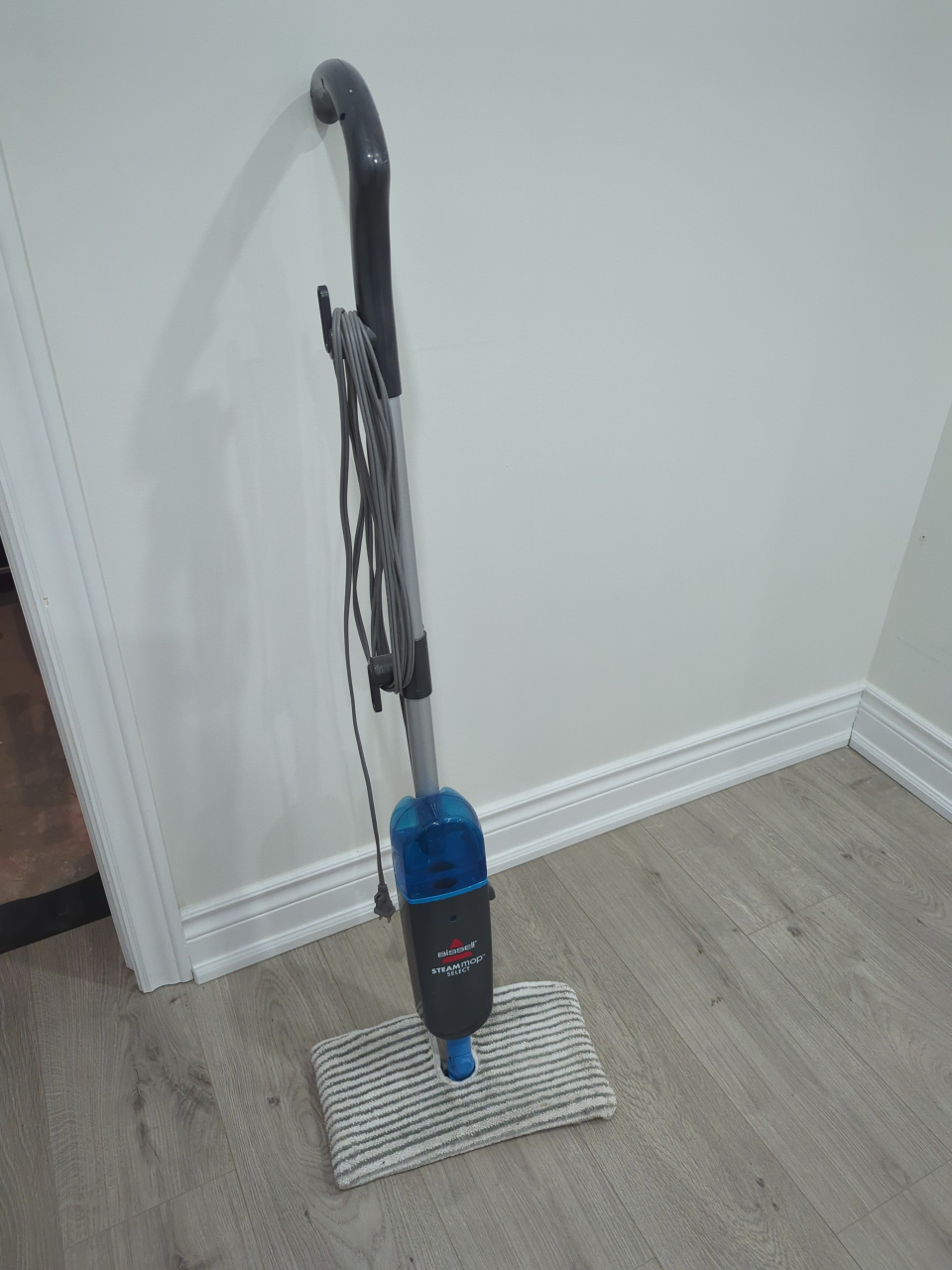 FS: Bissell Steam Mop