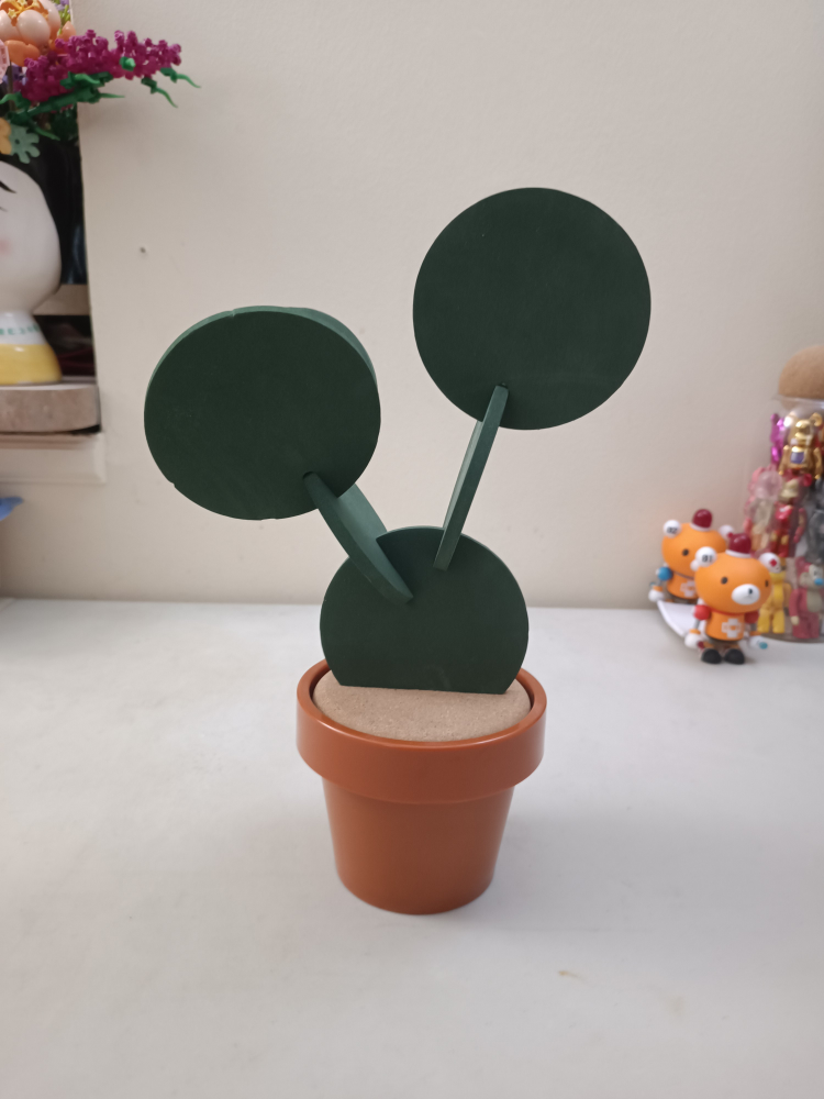 Cactus Coasters