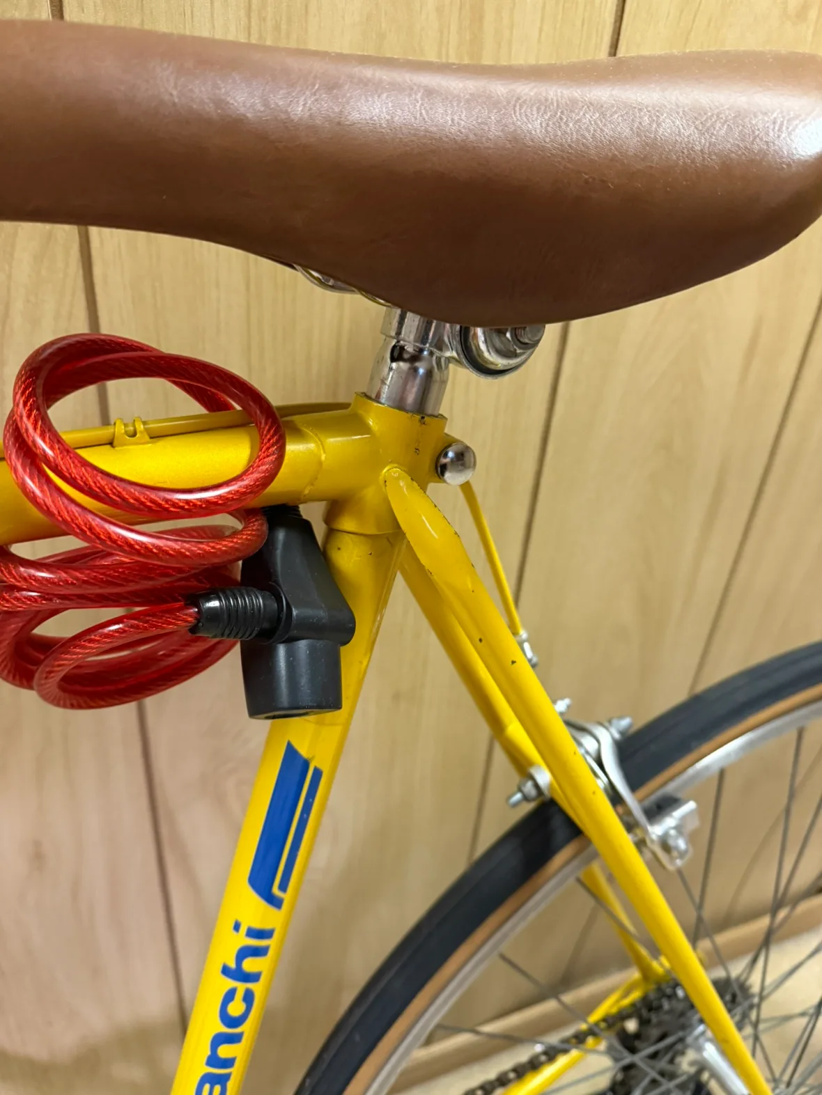 Vintage Bianchi Bike image indicator(3)