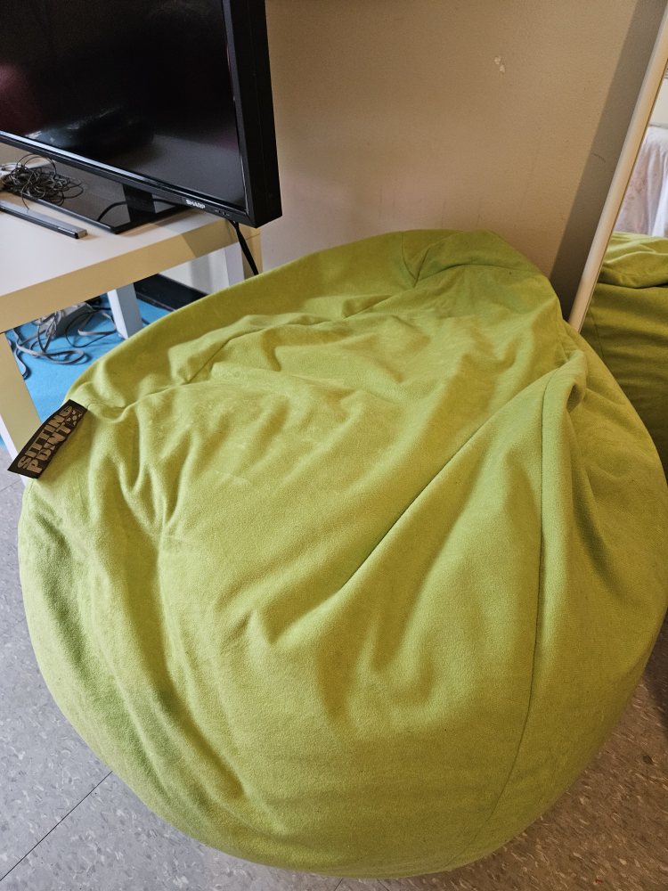 Green bean bag chair