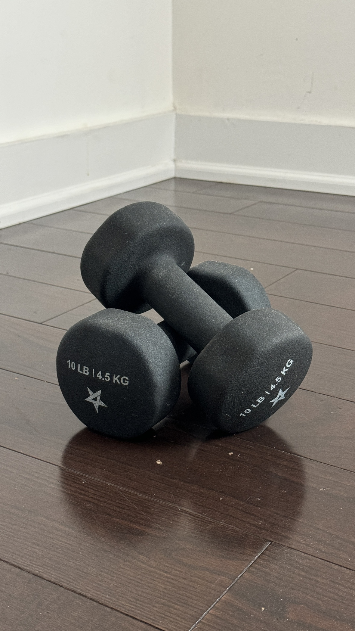 Two 10 lb Dumbbells