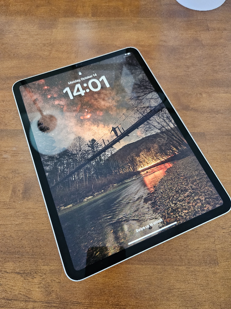 iPad Pro 11 inch silver 256GB Wifi (1st gen)