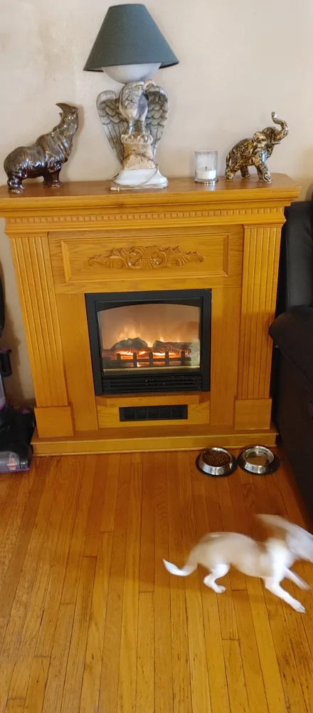 Electric Fireplace thumbnail