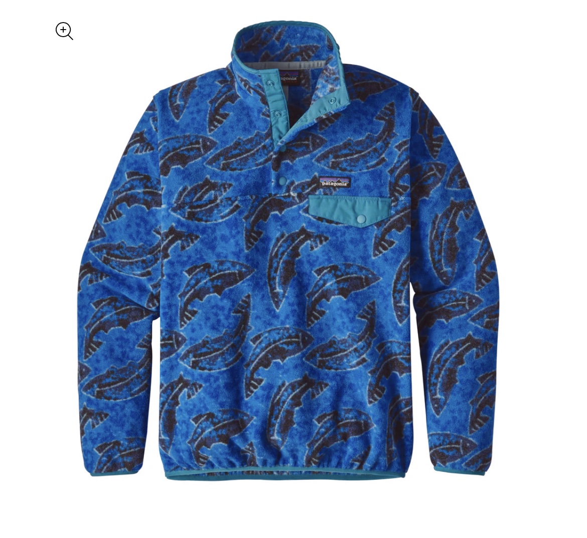 Patagonia Synchilla Pullover