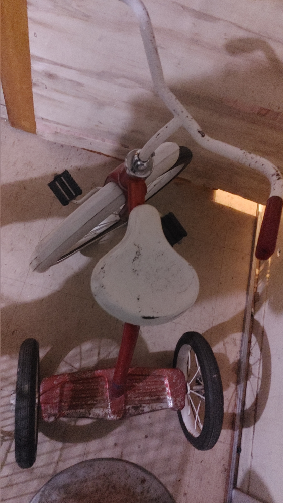 Vintage Tricycle - photo 3