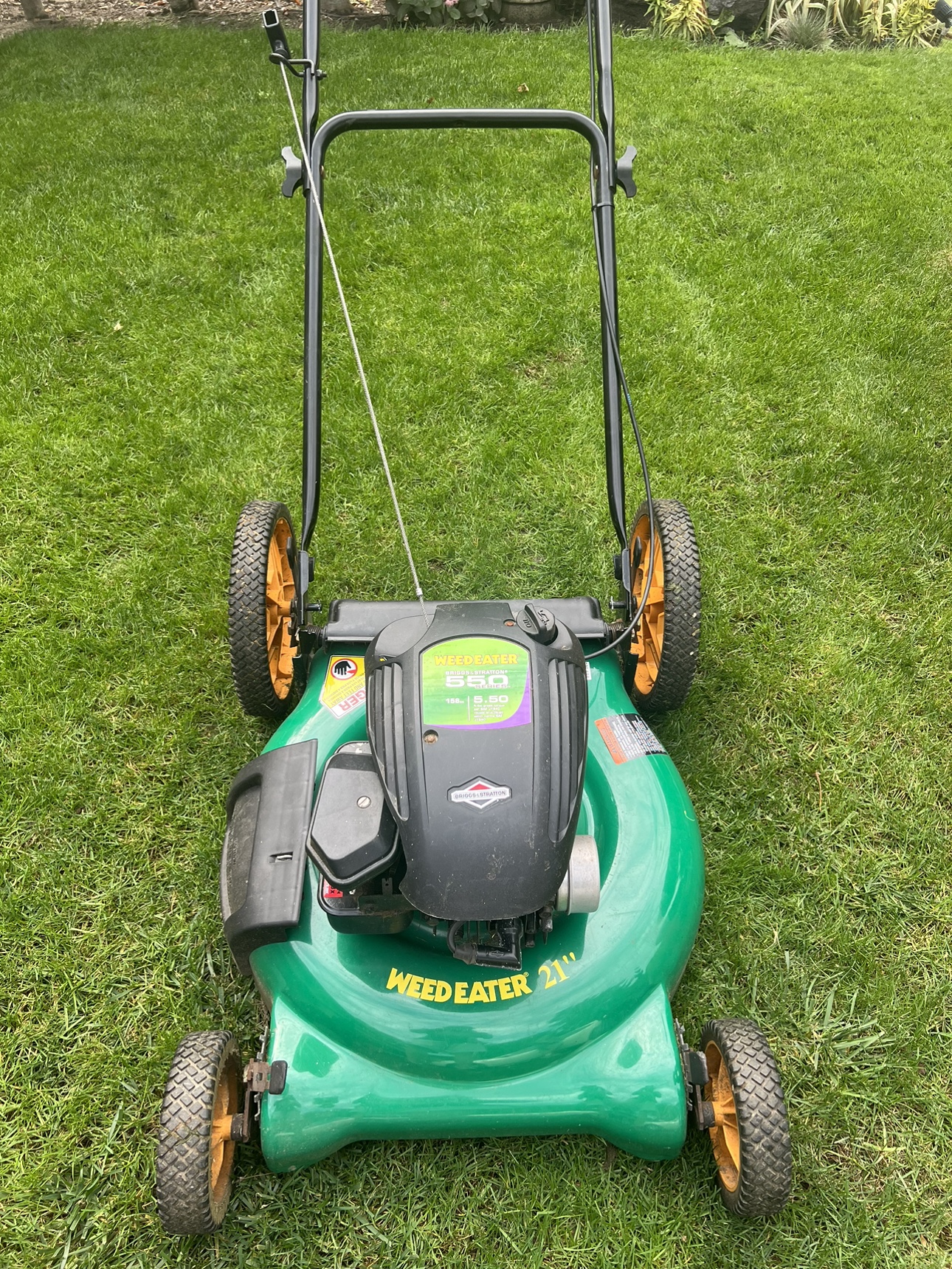 Weed Eater Lawn Mower - photo 3