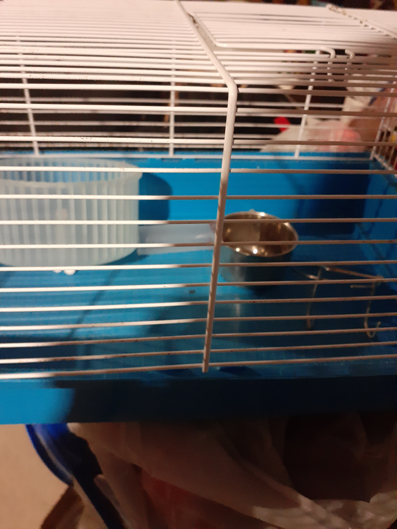 Small Animal Cage