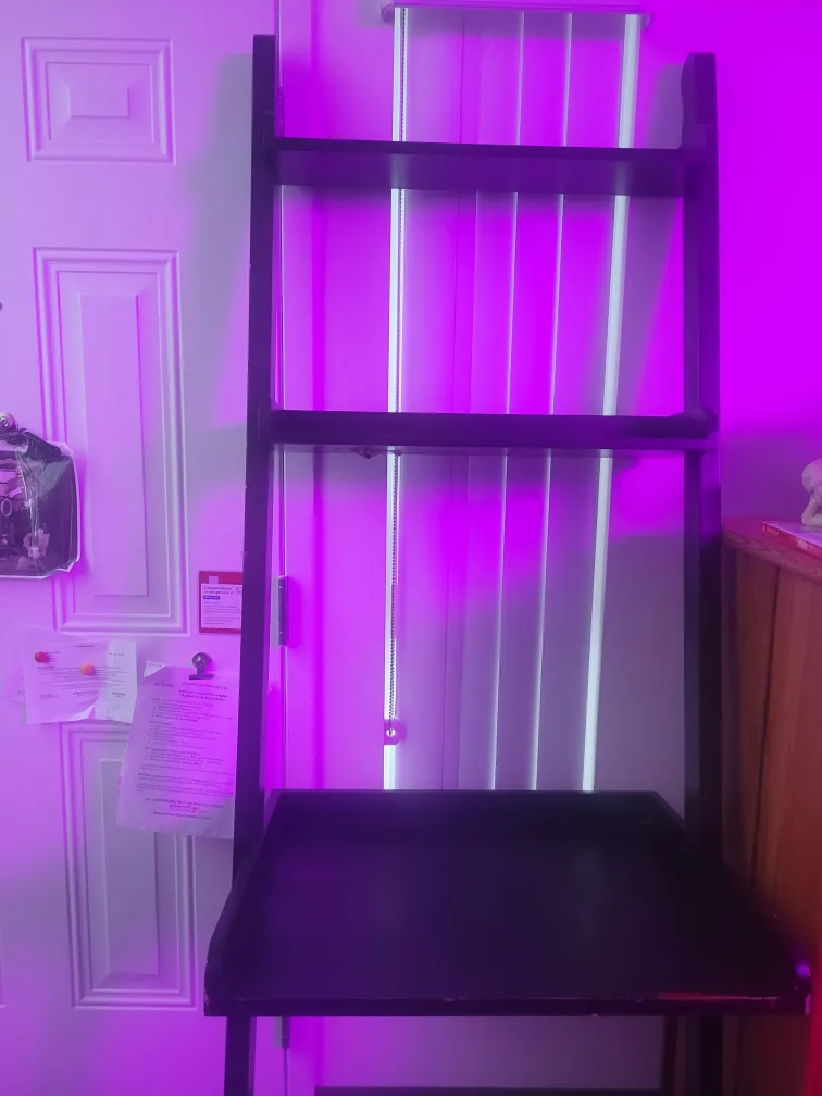 🥕🥕🥕Black Ladder Shelf with Desk image indicator(4)