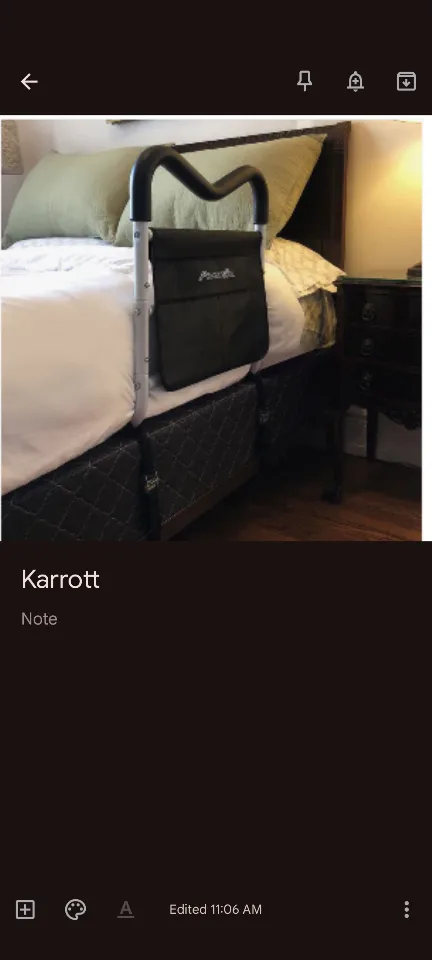 Avantia Bed Assist Rail