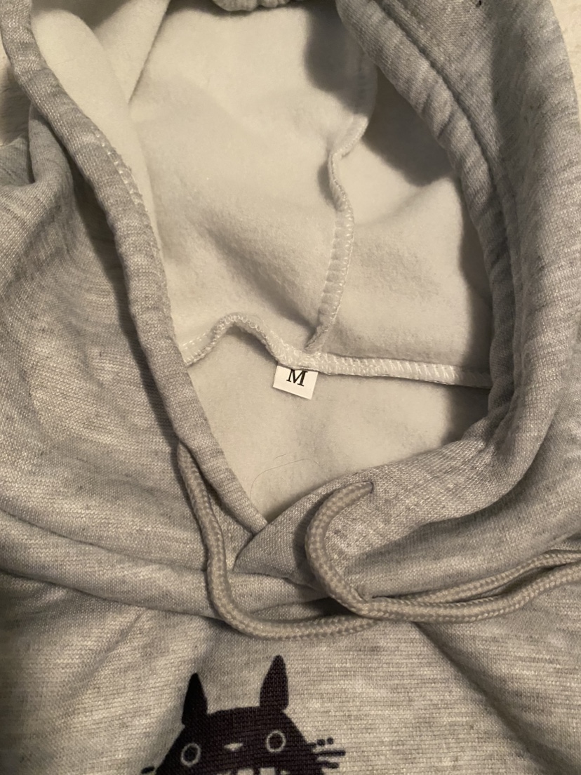 Studio Ghibli Themed Hoodie - photo 3