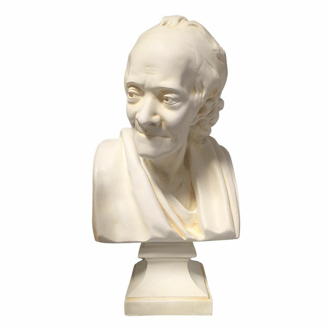 Voltaire Bust - photo 3