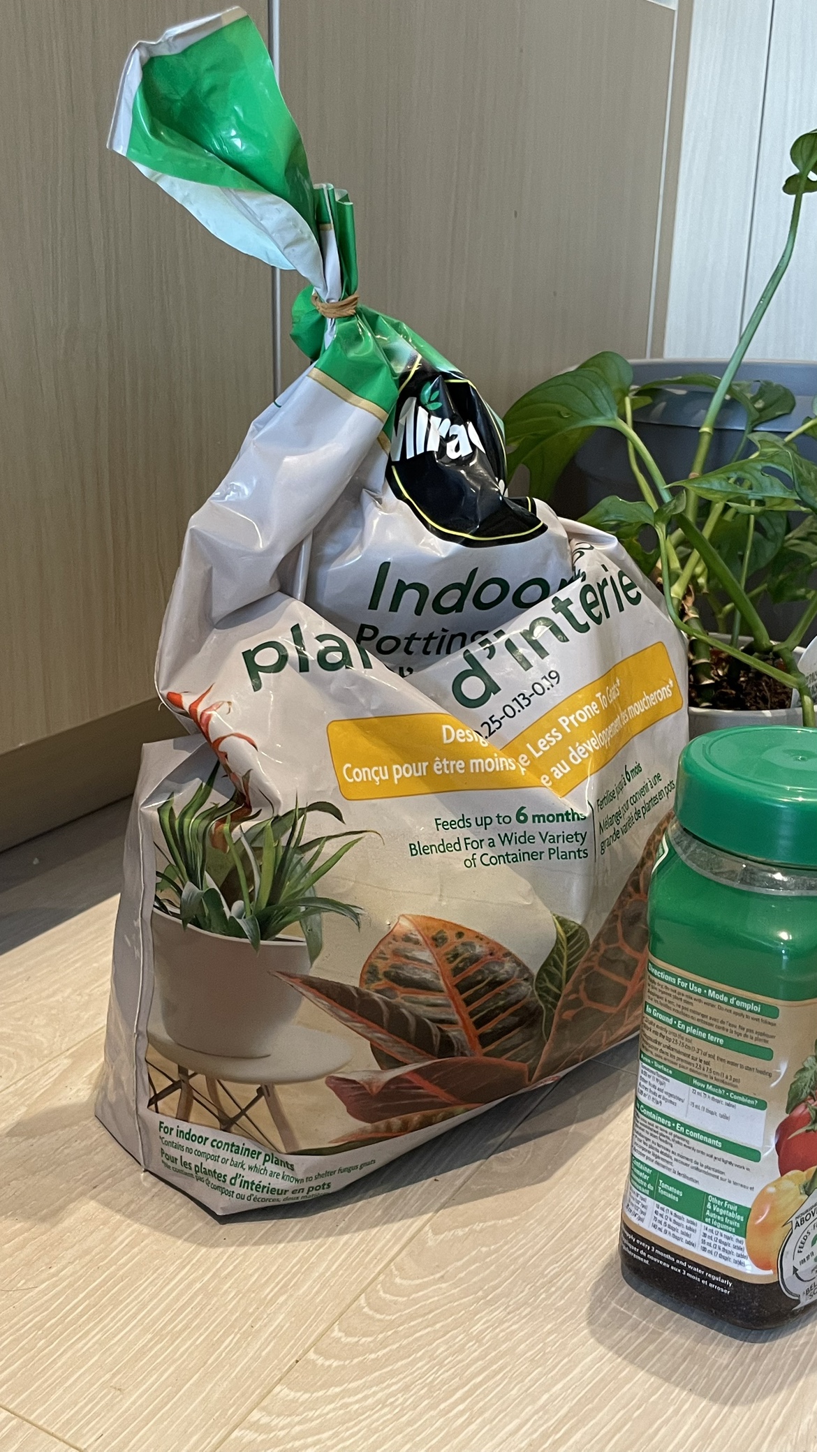 Plant Bundle - photo 5