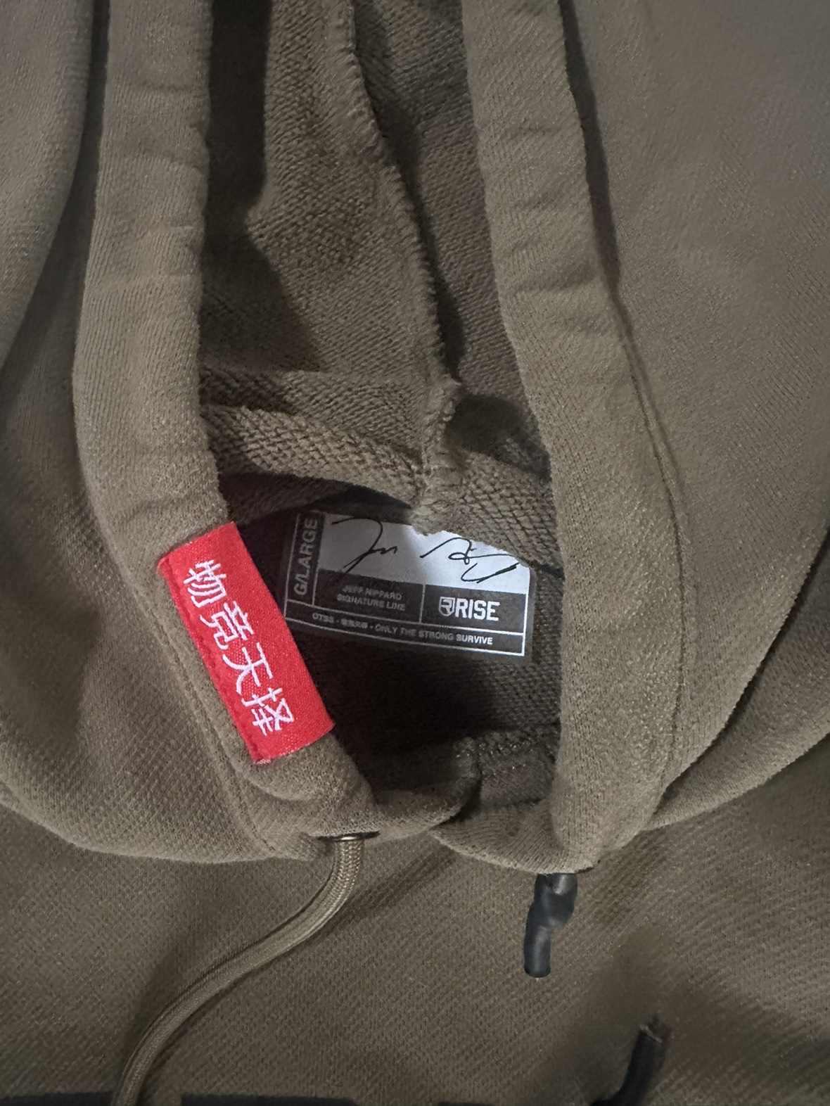 Rise Hoodie Jeff Nippard x Rise - photo 2