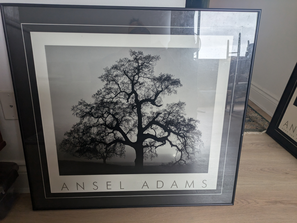 Ansel Adams Framed Print