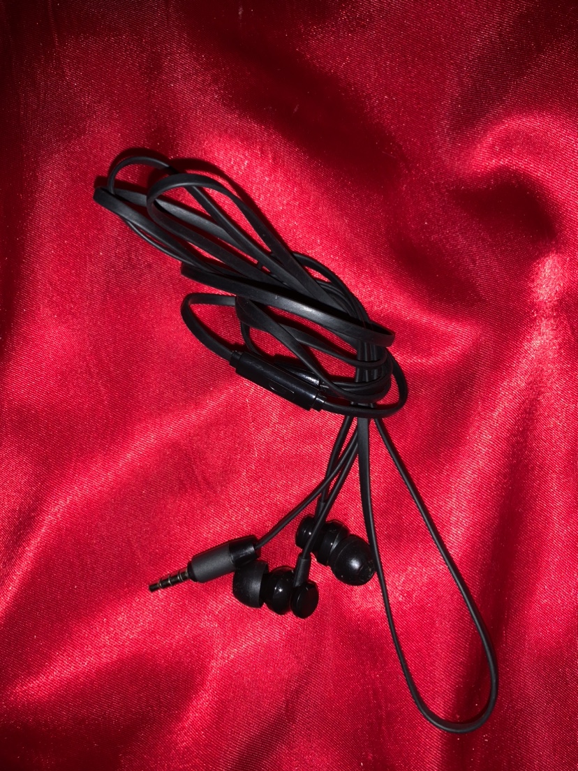 Headphones with Extra Earbuds - photo 3