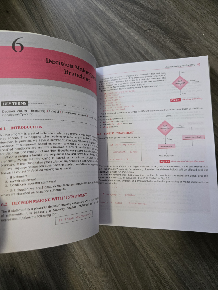 Programming with Java 6th Edition Textbook - photo 2