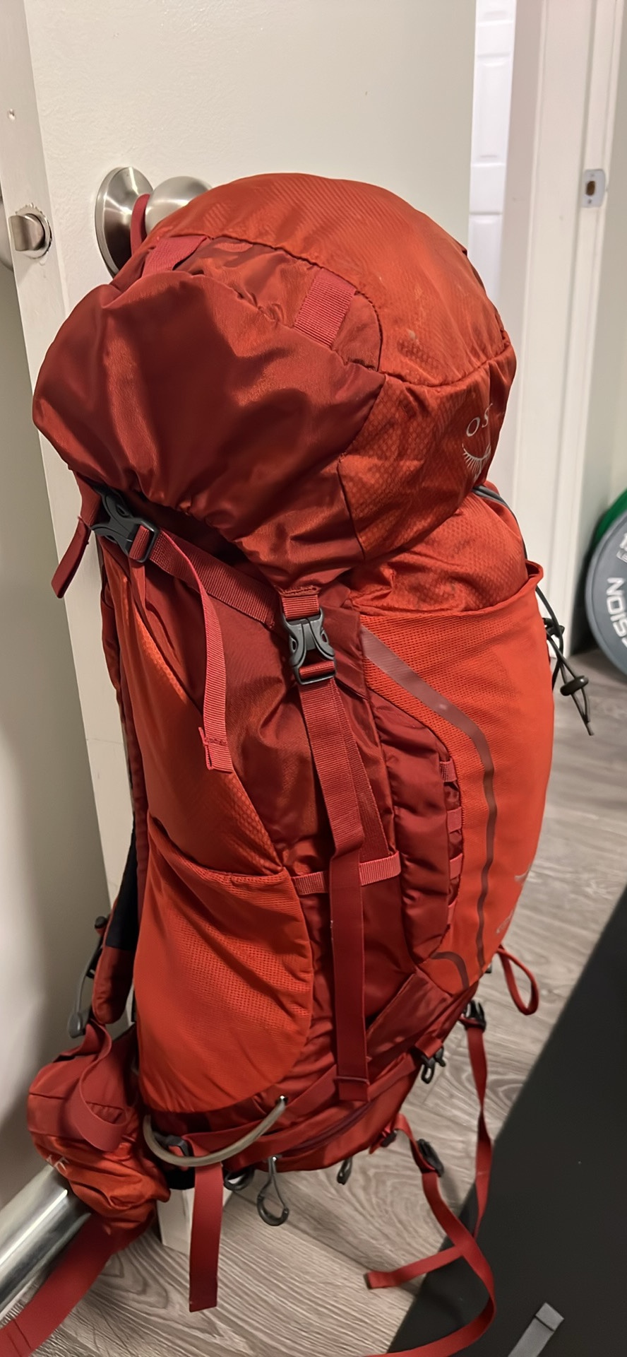 Osprey Kestrel 38 Backpack - photo 3