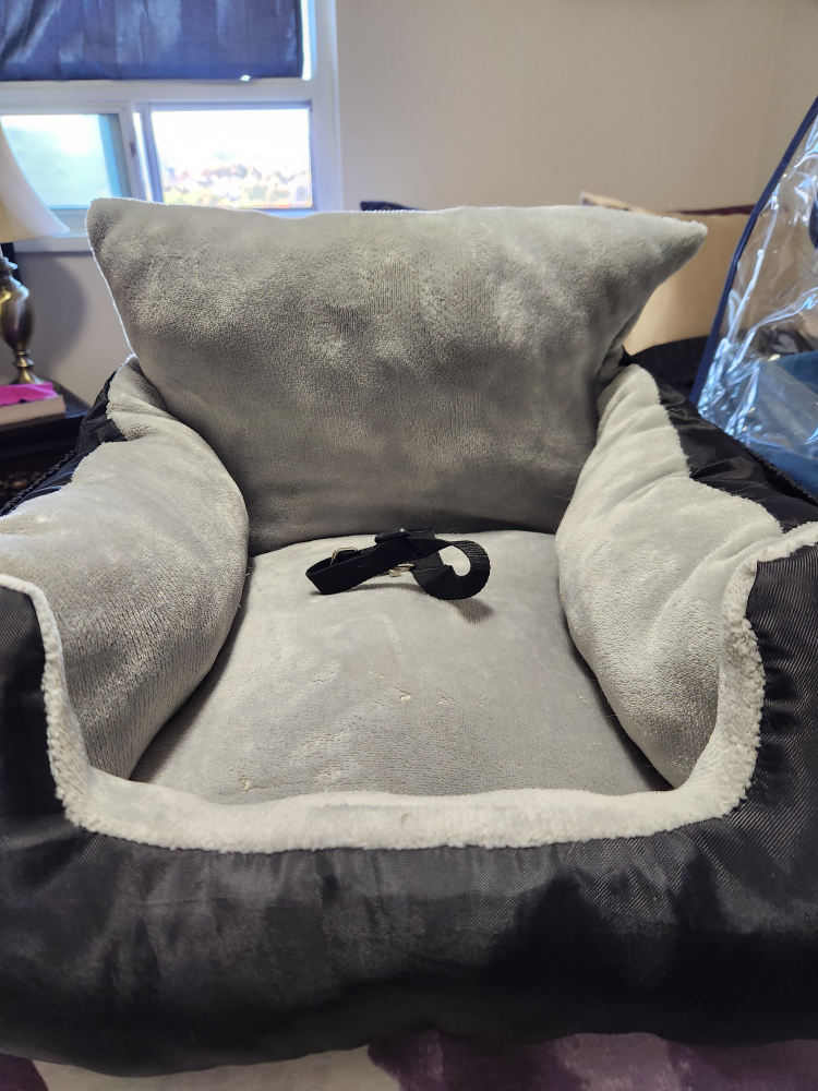 Small dog Car Seat