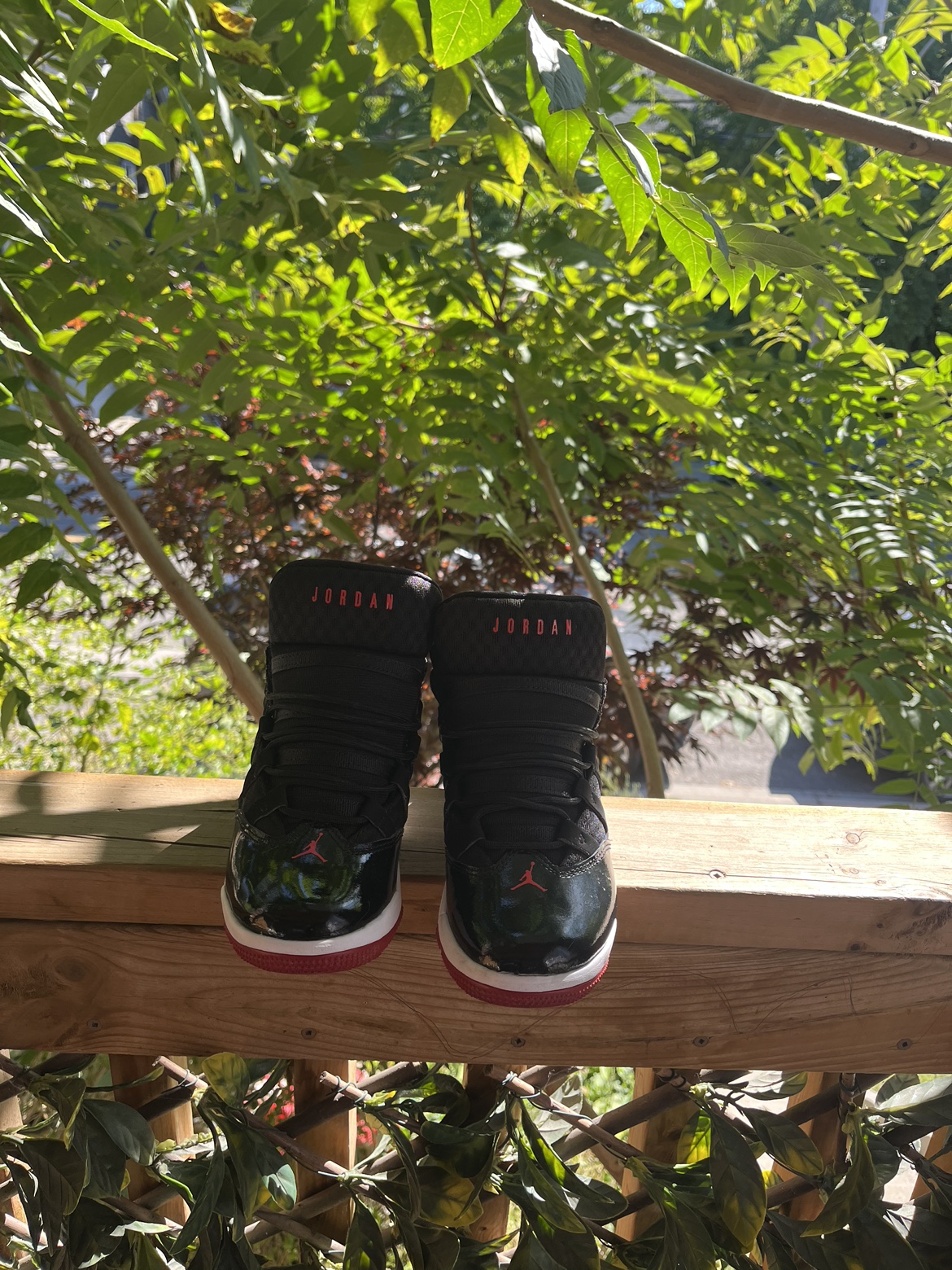 Air Jordan 11