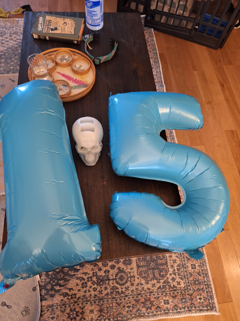 Blue and Silver Balloons #freecycle - photo 2