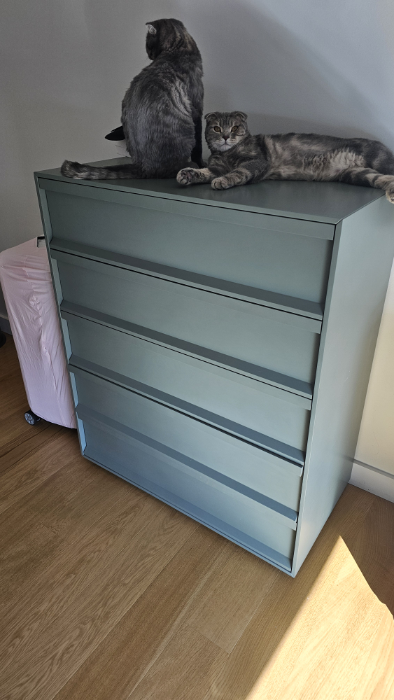 blu dot dresser