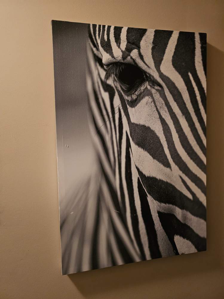 Zebra Canvas Wall Art